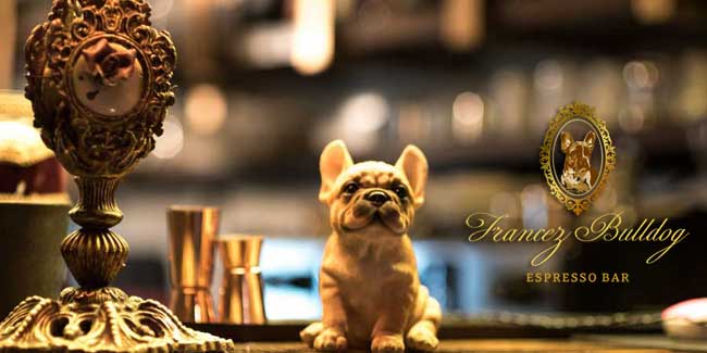 FRANCEZ BULLDOG